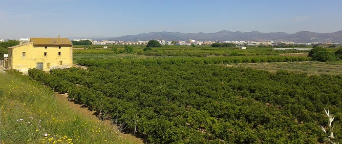 panorama valencia