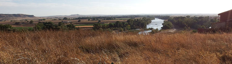 panorama zamora